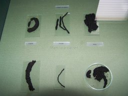 Museo de Arte Iberico el Cigarralejo 2008